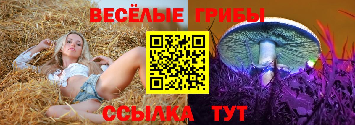 Псилоцибиновые грибы Cubensis  Вход с VPN  Дзержинский 